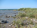 Western Michigan [2010] 827